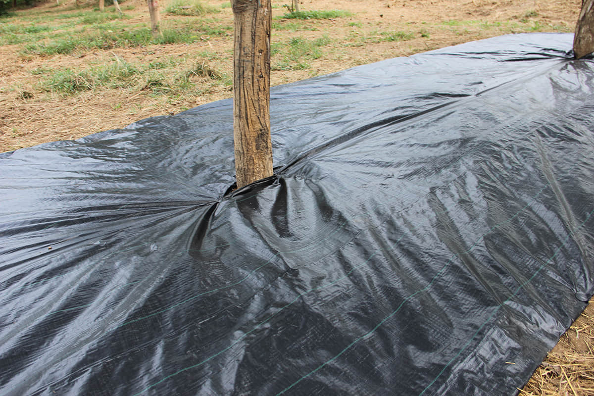 BLACK Landscape fabric/Weed barrier