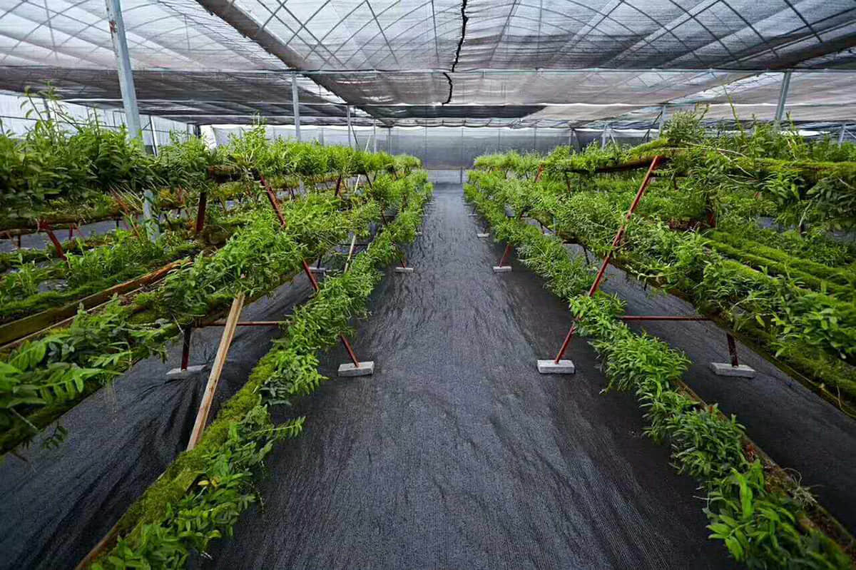 BLACK Landscape fabric/Weed barrier