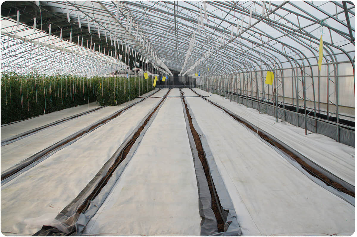 120GSM High-Density White Woven Ground Cover