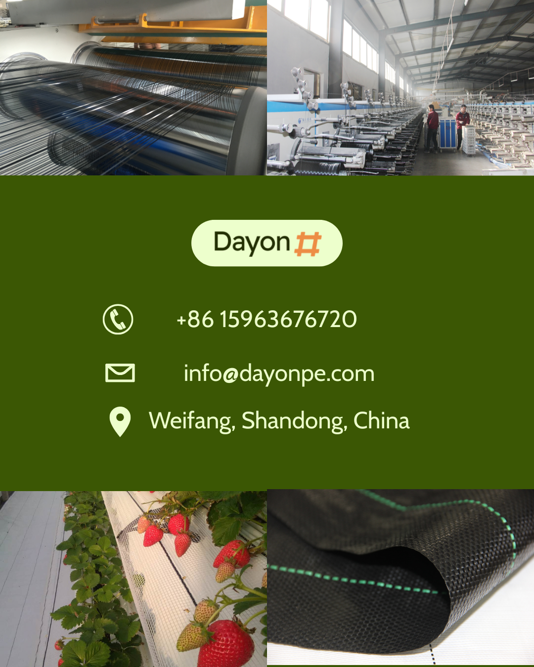 Contact Us